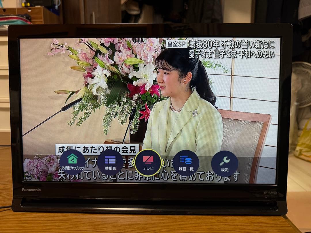 Panasonic パナソニック プライベート ビエラ UN-19CF10D