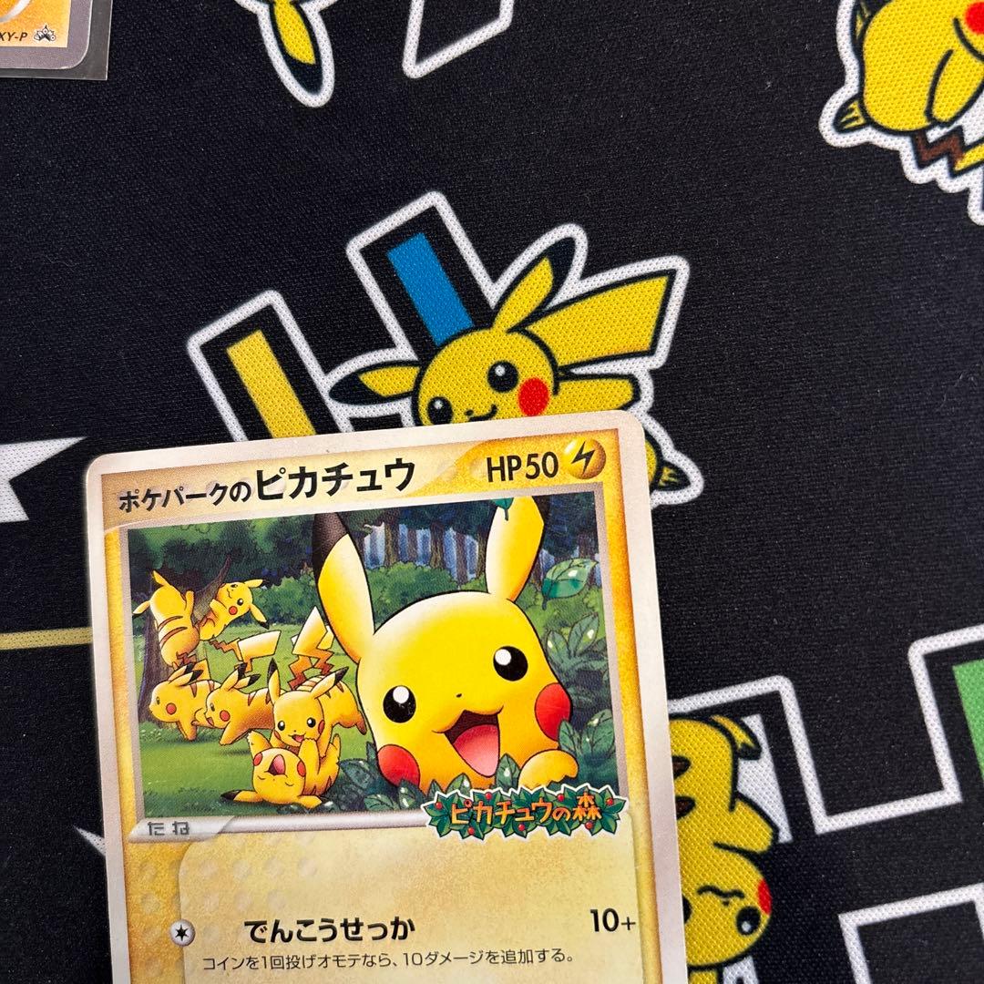 ★ポケパークのピカチュウ 043/PCG-P ★Pikachu PROMO