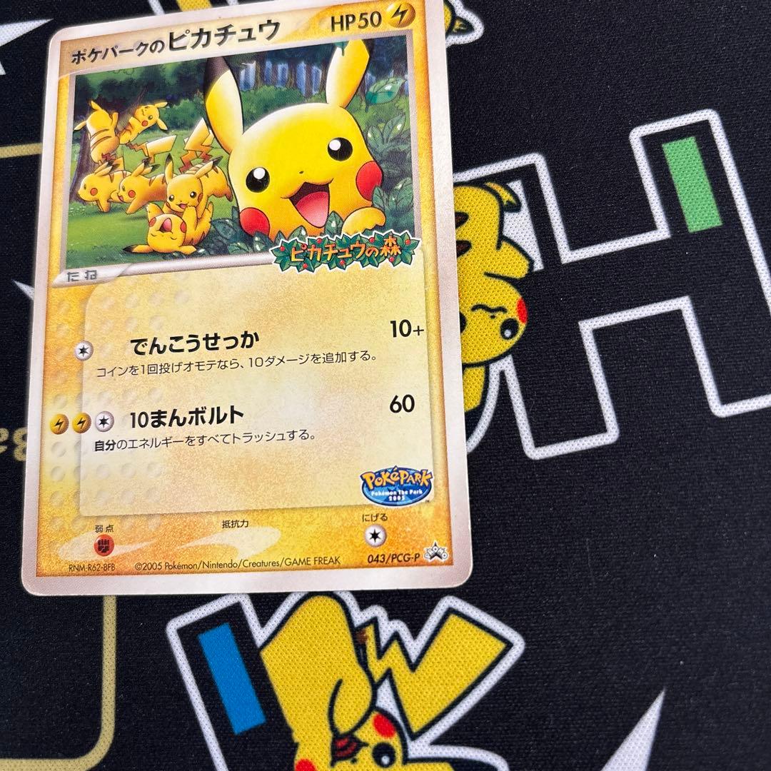 ★ポケパークのピカチュウ 043/PCG-P ★Pikachu PROMO