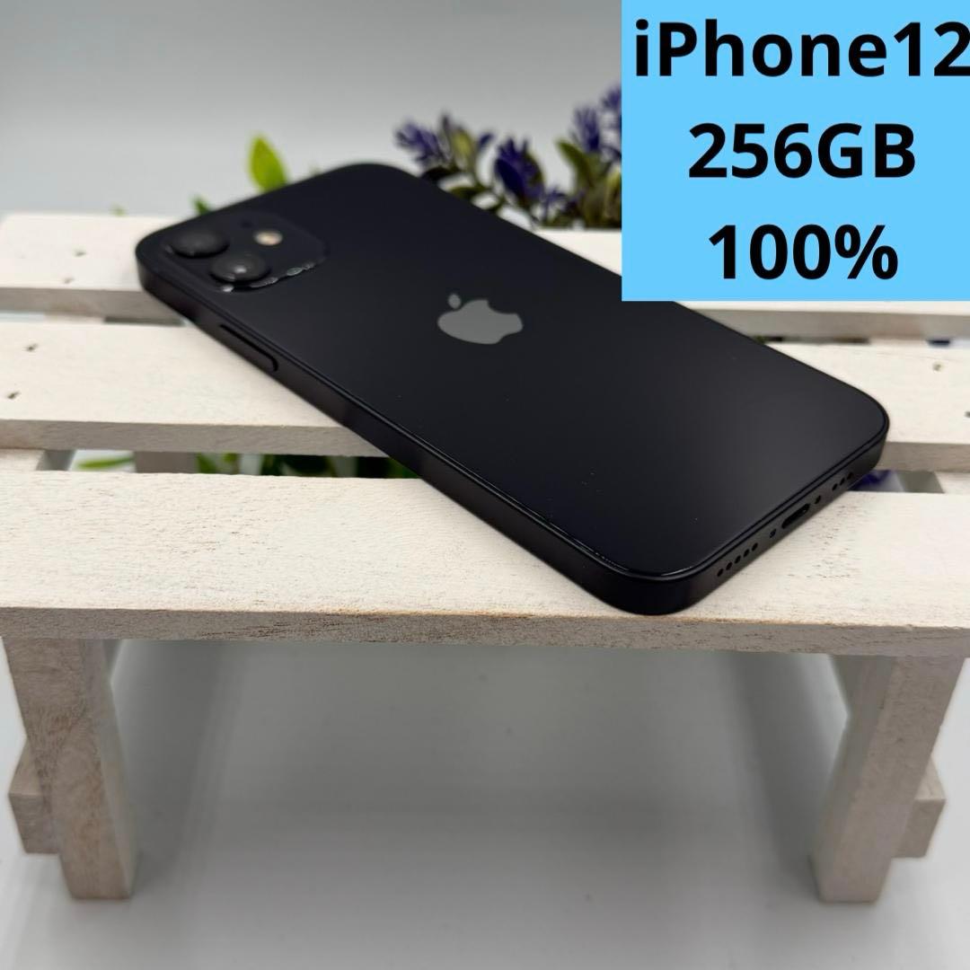 iPhone12 256GB ブラック 401