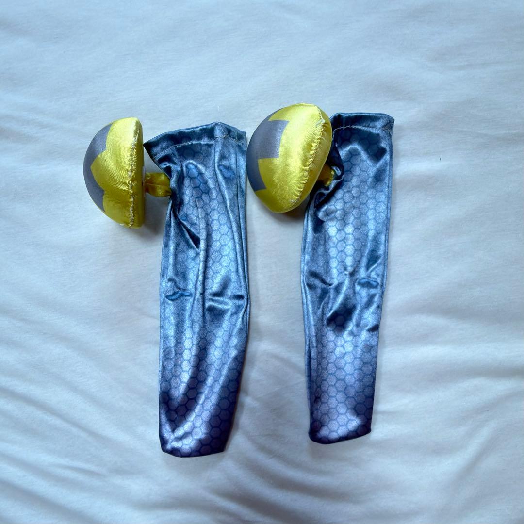 ポケモンSV ナンジャモ フルセット