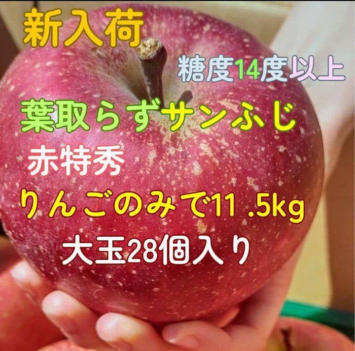 青森　ゴールド農園　葉取らずサンふじ　10キロ箱　赤特秀