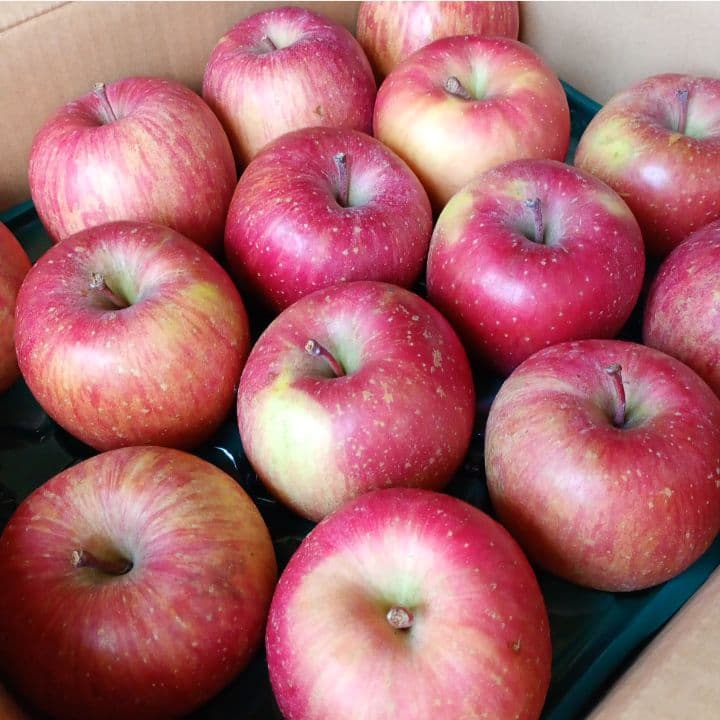 青森　ゴールド農園　葉取らずサンふじ　10キロ箱　赤特秀