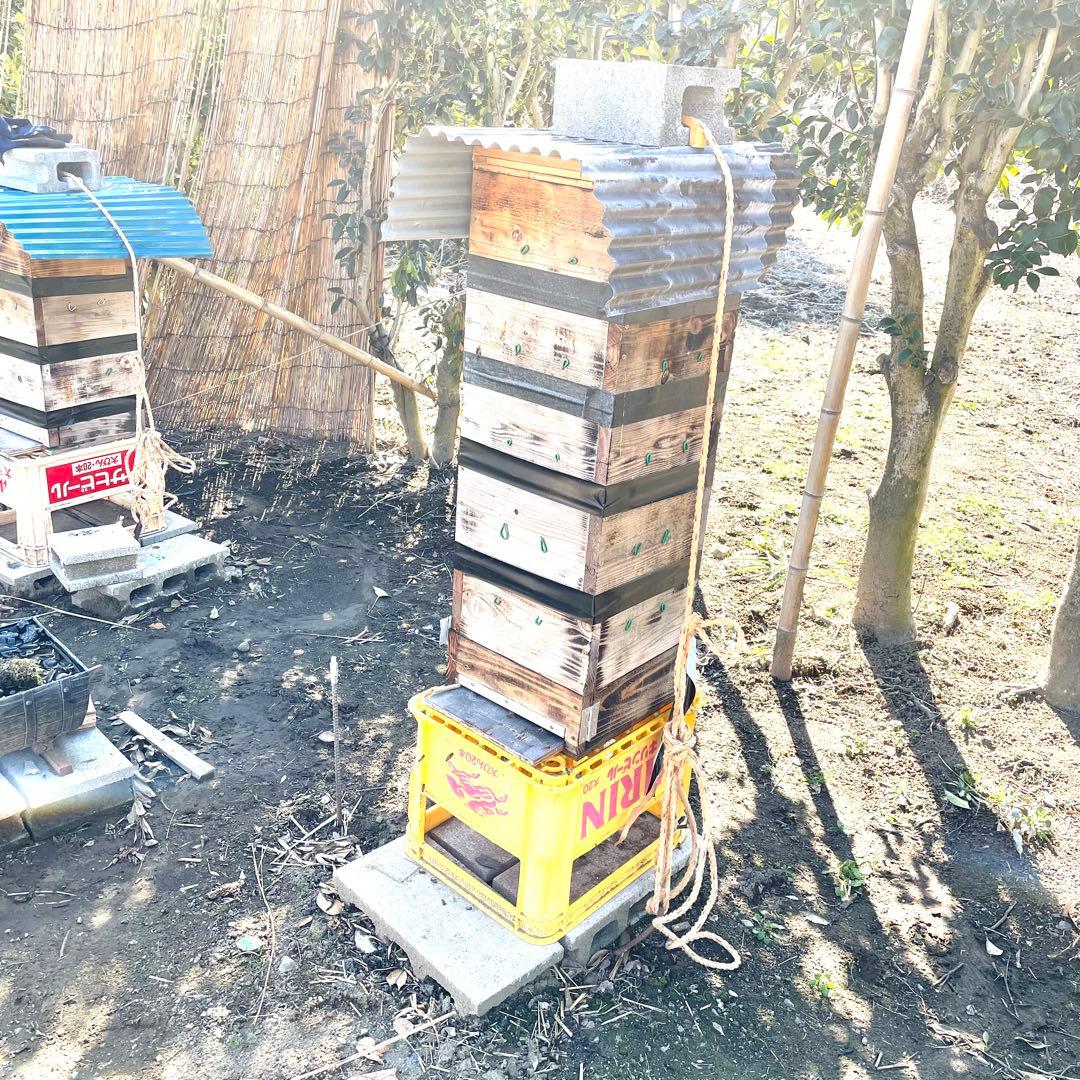 日本蜜蜂のハチミツ1100g×1本