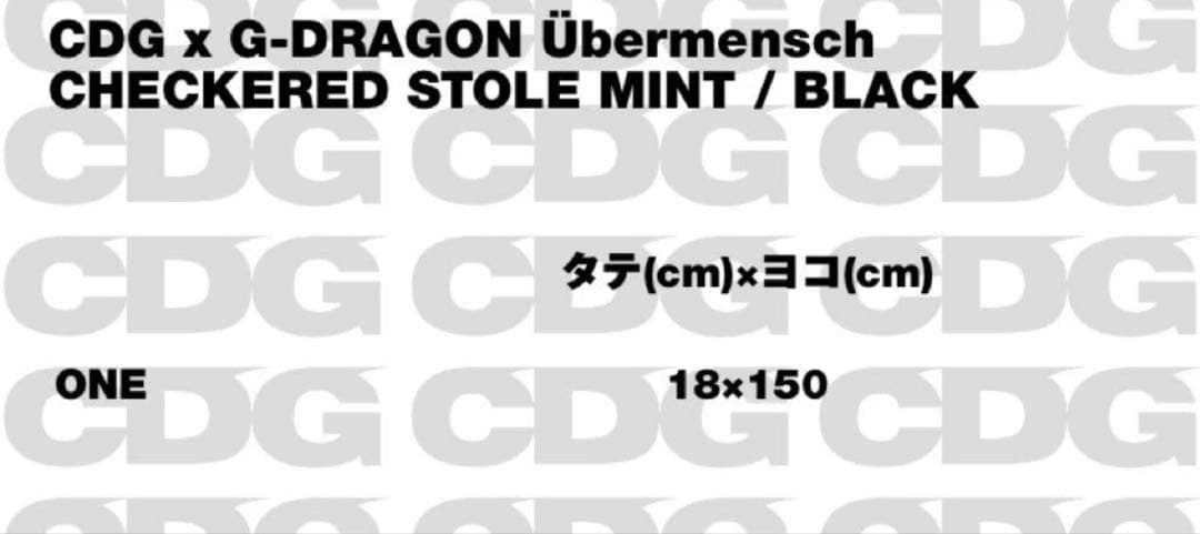 CDG x G-DRAGON Übermensch ストール　ミント