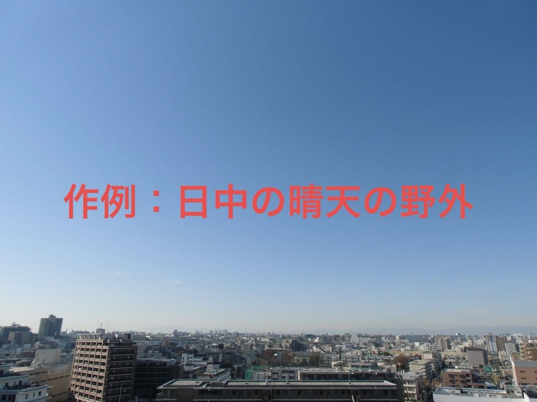 【動作確認済】CASIO カシオ EXILIM EX-ZS100 レトロコンデジ