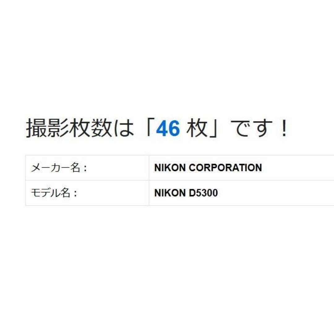 ❤即購入1000円OFF❤ ニコン D5300 シャッター46枚 グレー