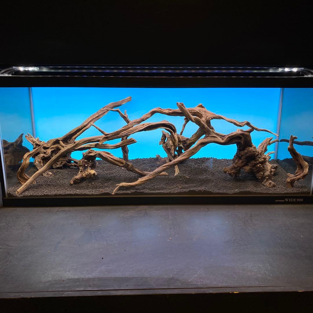 MSRW-6735 天然流木レイアウトセット　スリムウッド　アクアリウム