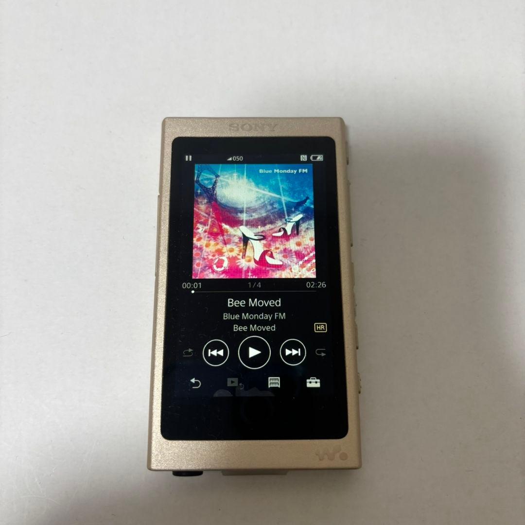 【美品　バッテリー良好】　ソニー ウォークマン NW-A45 16GB