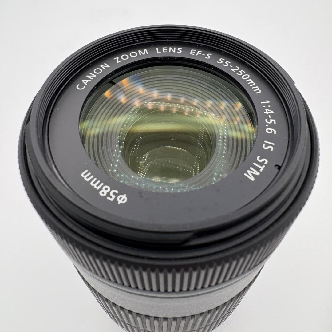 Canon EF-S55-250mm F4-5.6 IS STM +レンズフード