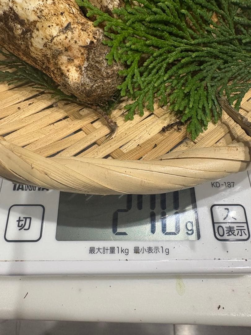 S*O様 信州産　松茸270g