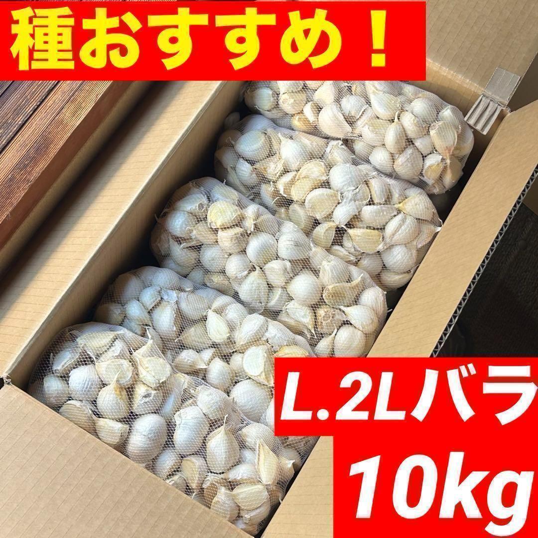 【スーパーセール】新物 青森県産 にんにく L.2Lバラ 10kg 福地ホワイト