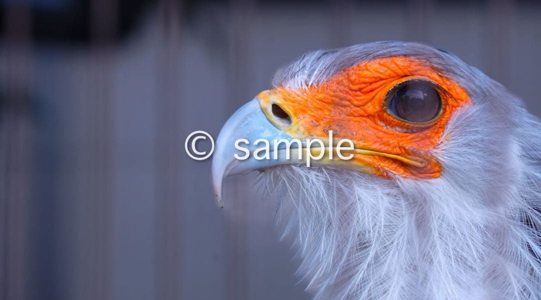 TAMRON 18-300mm Eマウント