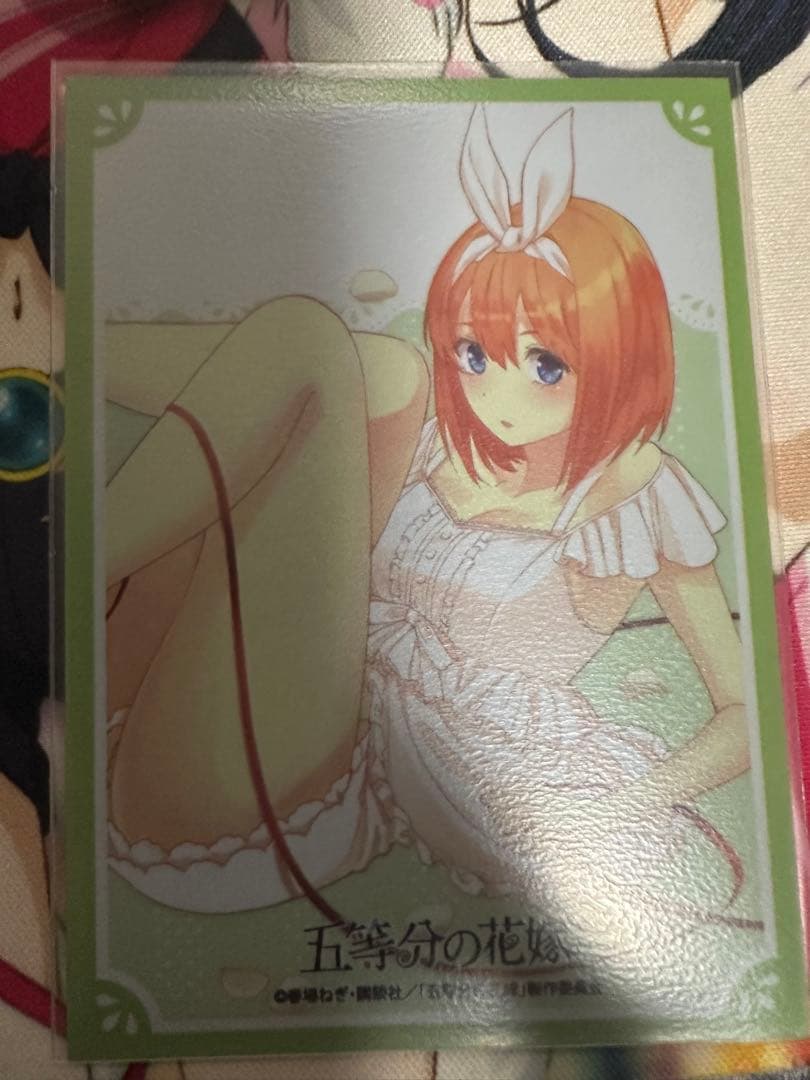 ヴァイスシュヴァルツ　五等分の花嫁　デッキ　5個