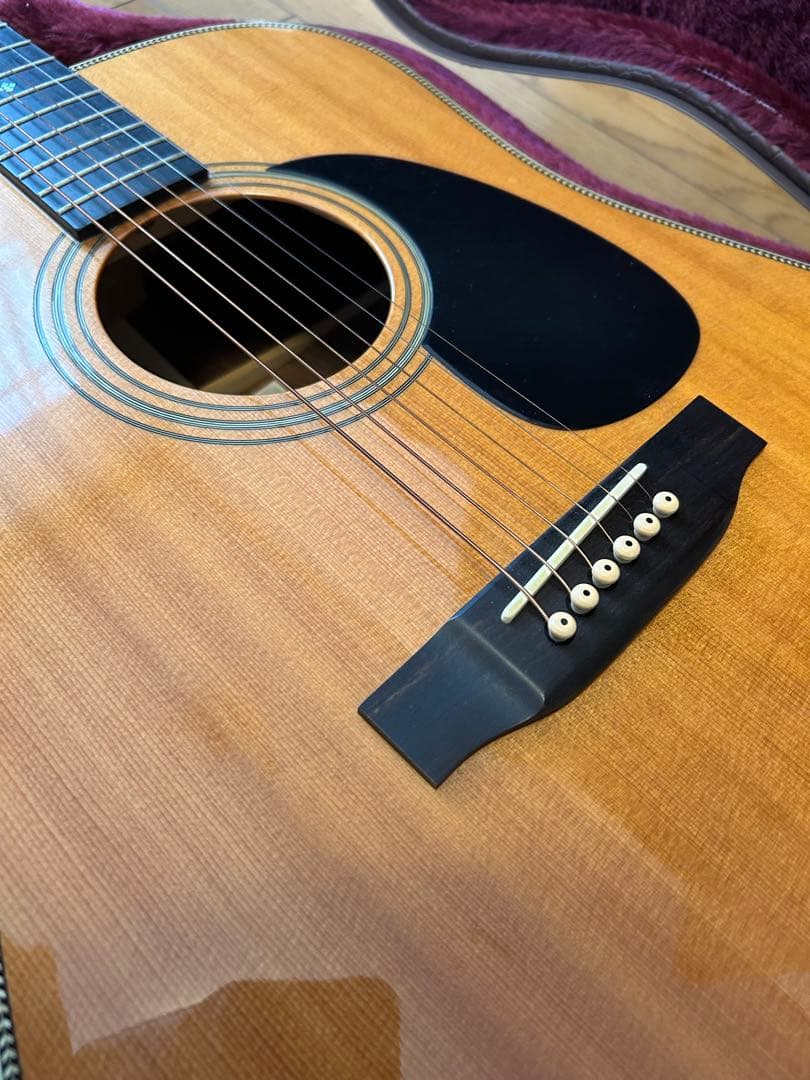 Morris モーリス W-185H アコースティックギター