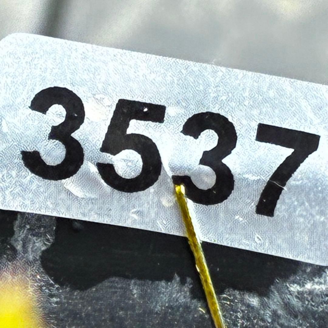 も*読様 3537☘️⭐️沢山⭐️蕾花付き☘️6号☘️極上☘️⭐️小輪⭐️ ハー