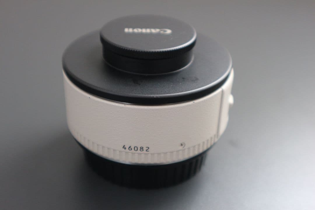 レンズ(単焦点) Canon EXTENDER EF 1.4x