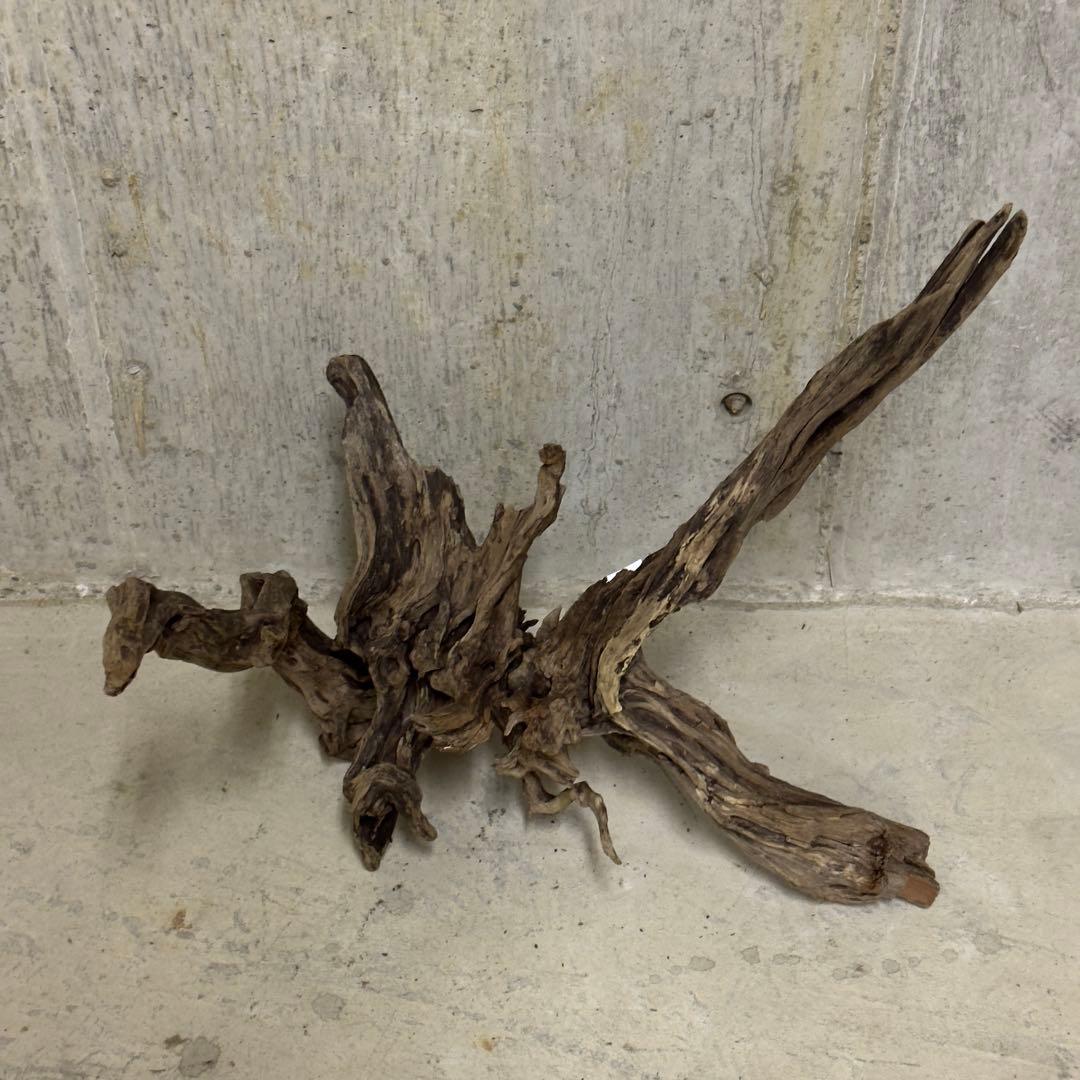 ADA スリムウッド　流木　特大