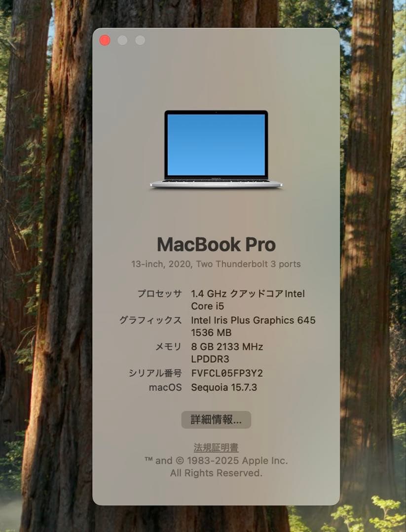 MacBook本体 MacBook Pro 13 2020 Touch Bar i5/8/500