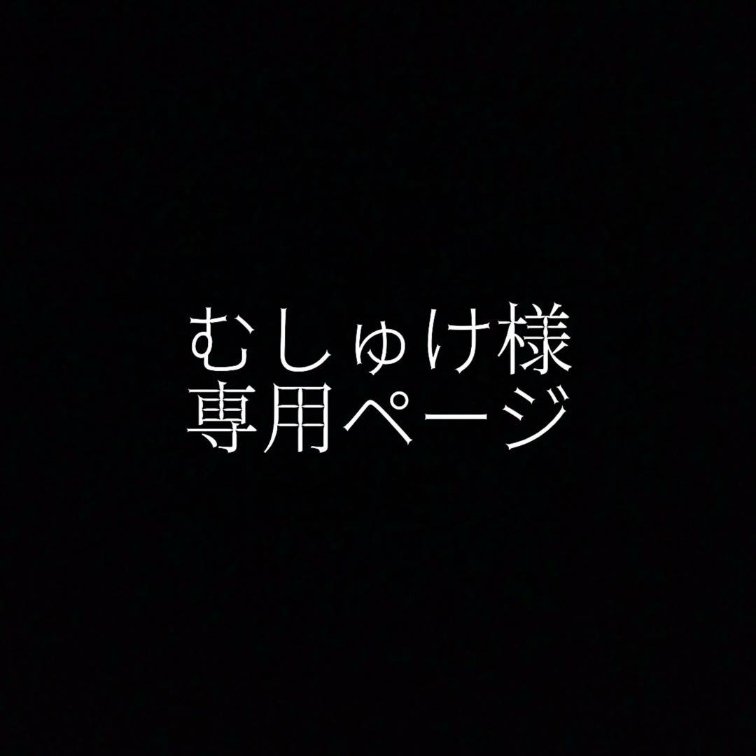 むしゅけページ