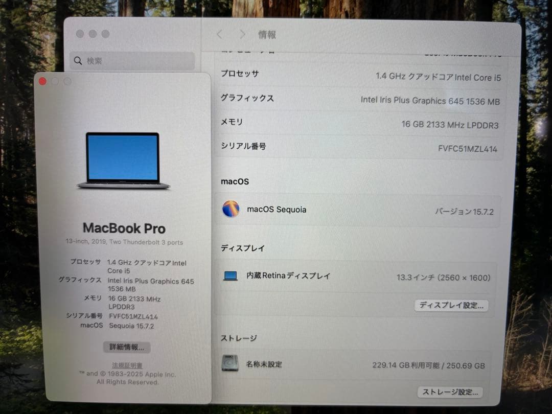 MacBook Pro 13インチ　A2159 2019 16GB 256GB