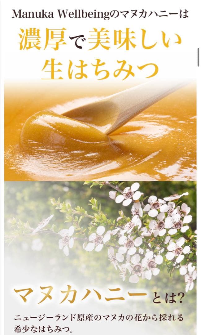 マヌカハニー UMF 20+ (MGO 850+) 450g