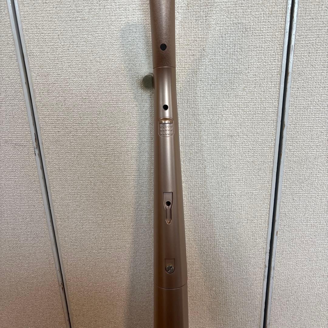 Electrolux ergorapido スティッククリーナー