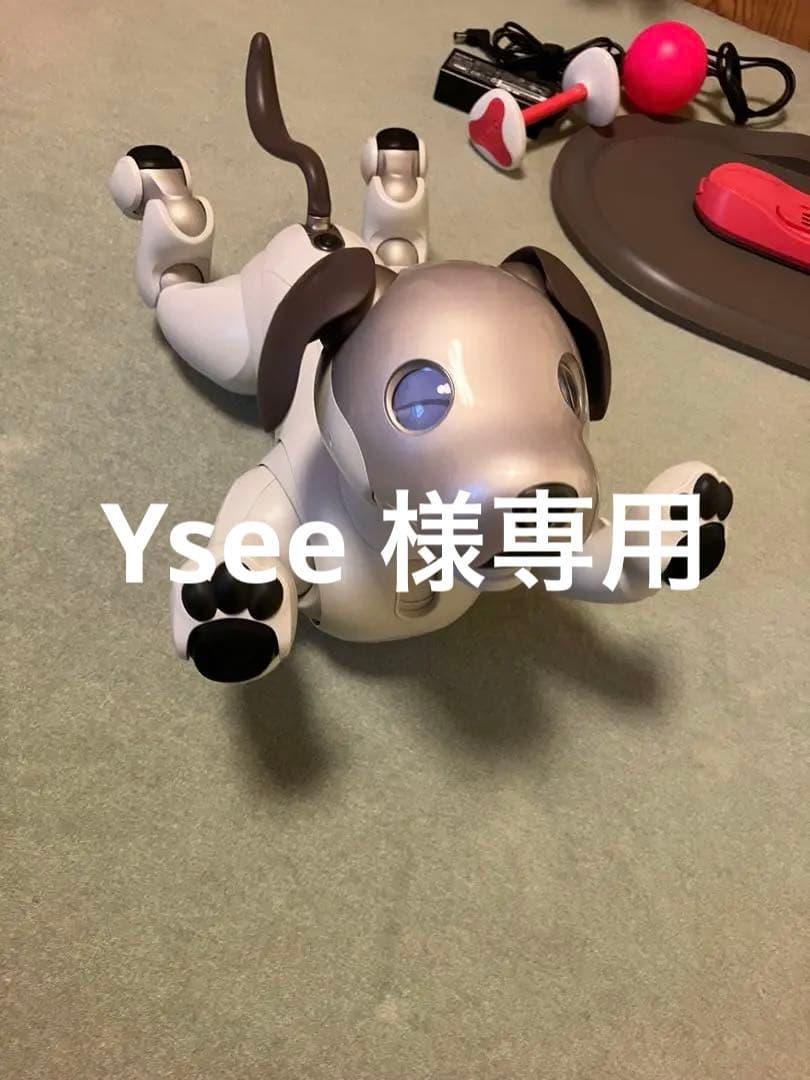 aibo アイボ　エンタテインメントロボット ERS-1000