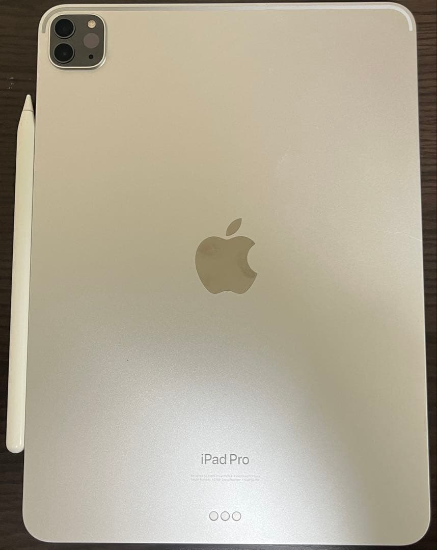 iPad Pro 第4世代 11インチ 256GB美品 電池98％