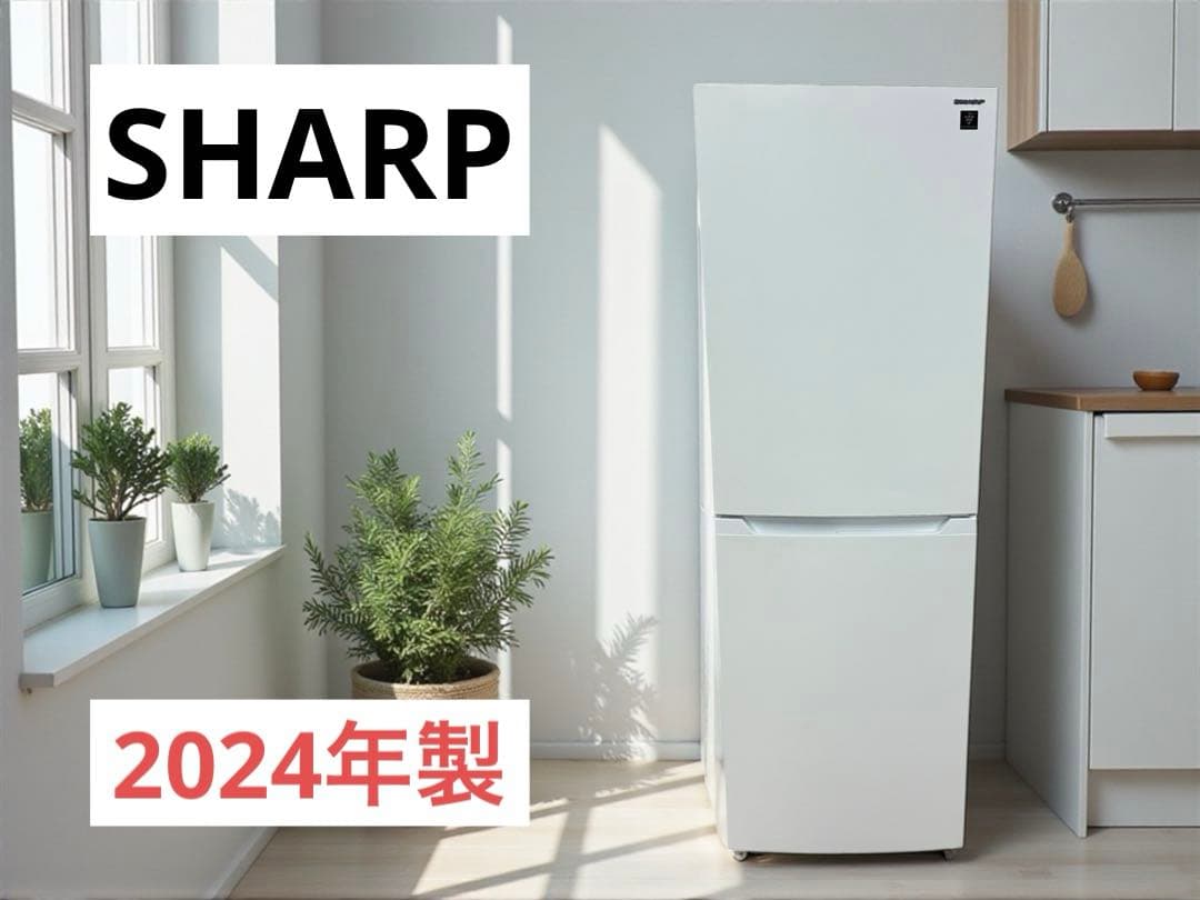 2024年 SHARP シャープ 230L SJ-BD23M 2ドア冷凍冷蔵庫