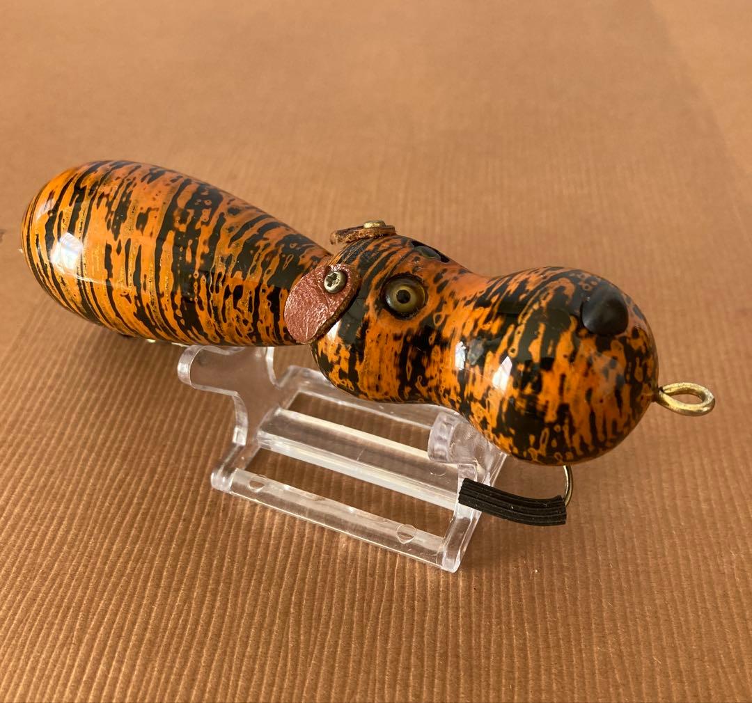 道楽 アナゴイヌ 虎 dowluck 桐箱付き