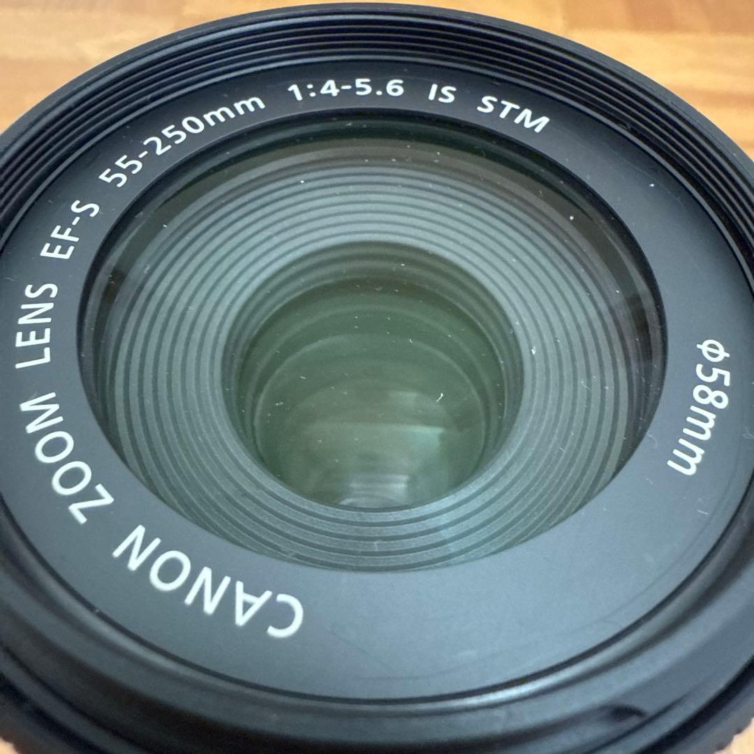 Canon EF-S 55-250mm F4-5.6 IS STM(ジャンク品)