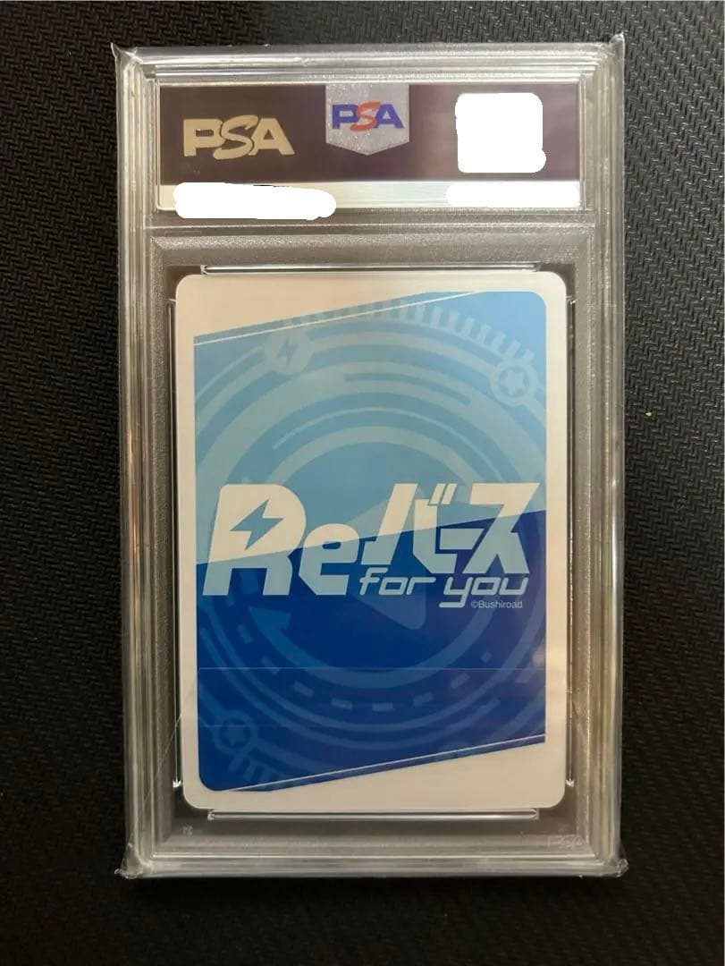 PSA10 Reバース PP 河東 ぱい ぽんのみち