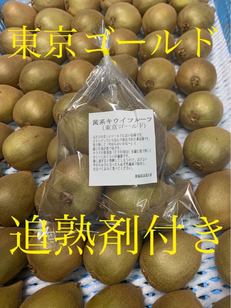 リサ①　赤3キロ黄3キロ　計6キロ