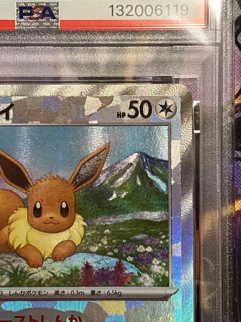 ポケカ　イーブイ　psa10 マスボ