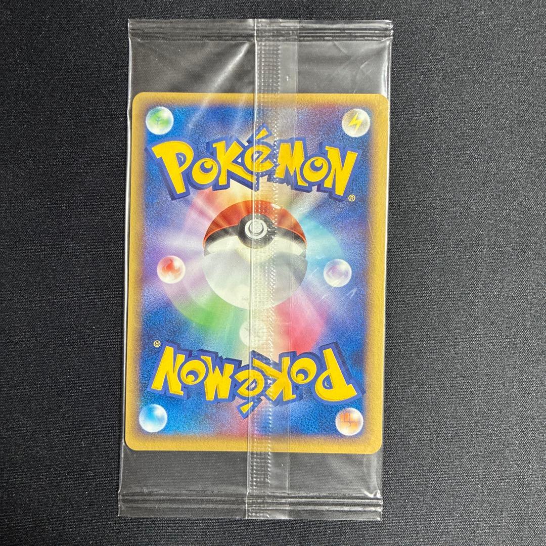 ポケパークのミズゴロウ プロモ 048/PCG-P ポケモンカード