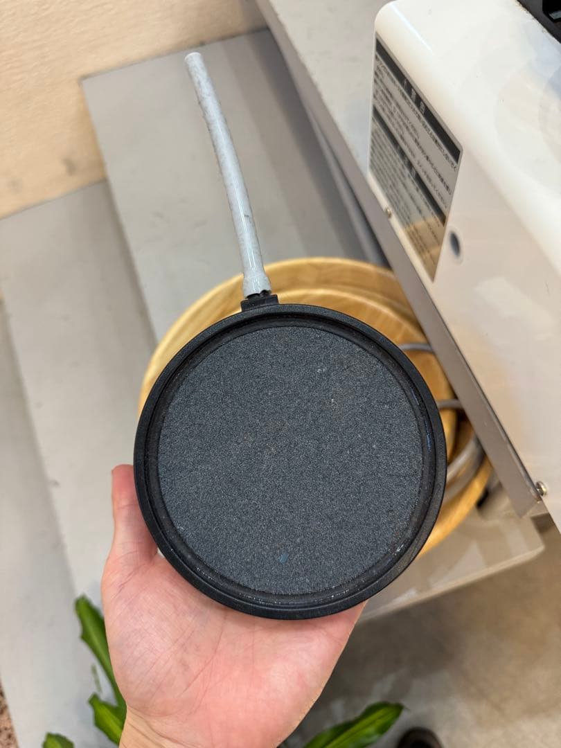 ☆値下げ★ゴクビギア☆極美ギアS