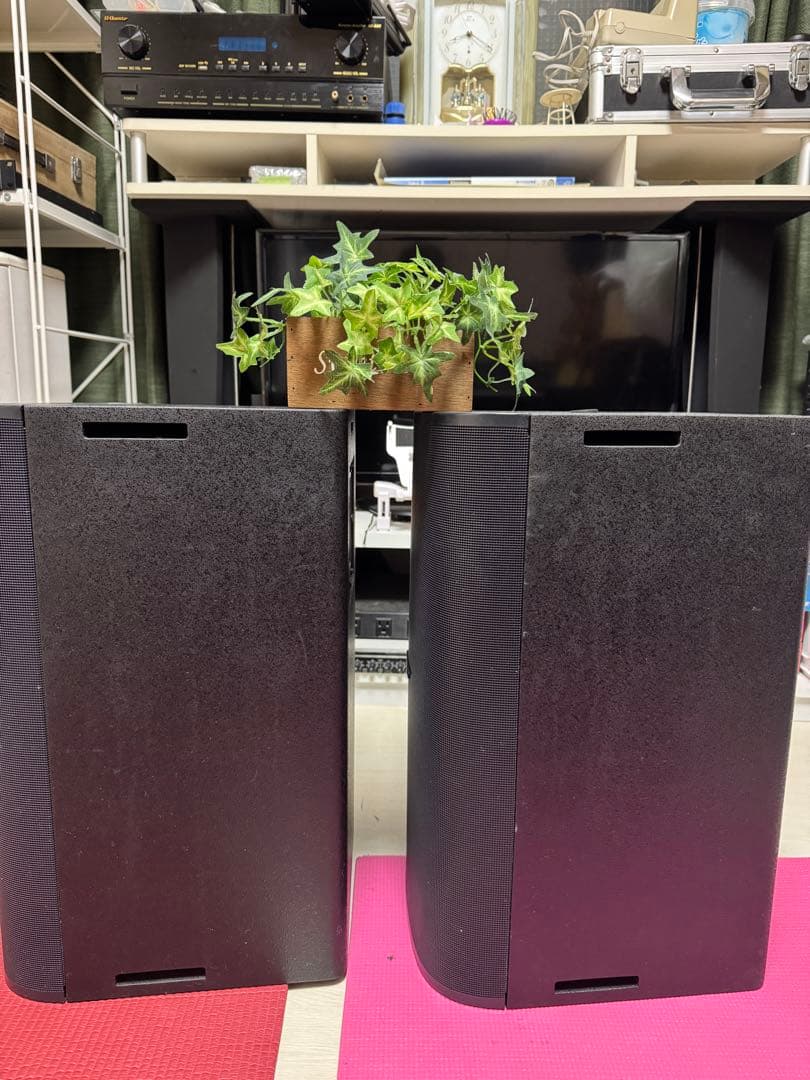 BOSE DM10S-SUB (2個) 動作確認済み