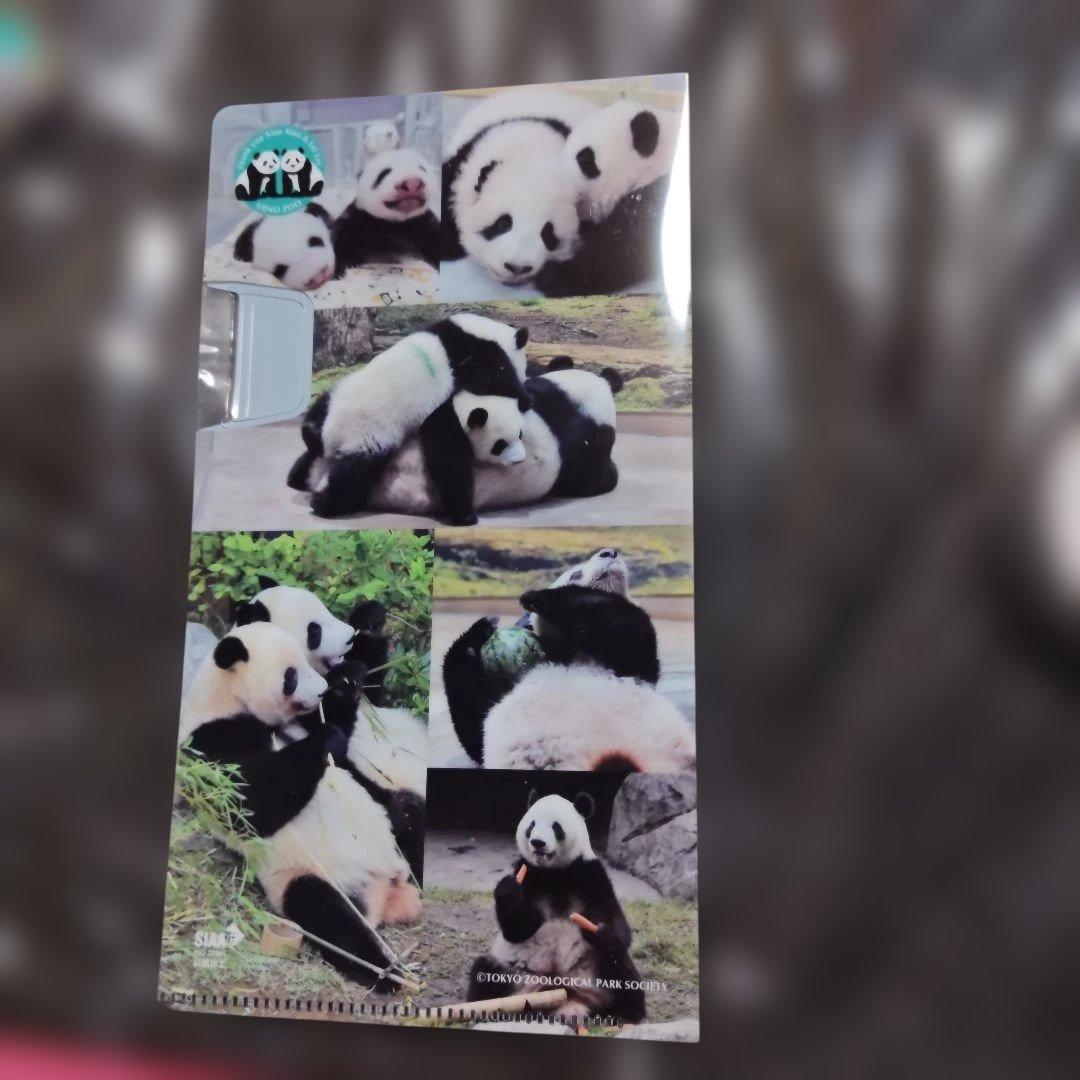 上野動物園 ありがとうシャオシャオレイレイ ジップパーカーL シャンシャンパンダ