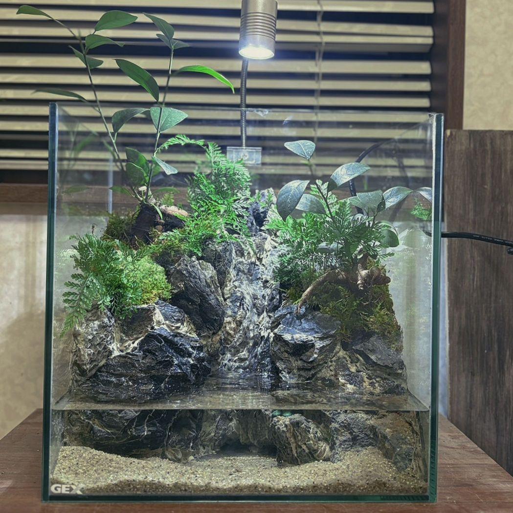 滝の流れるアクアテラリウム　No.1143