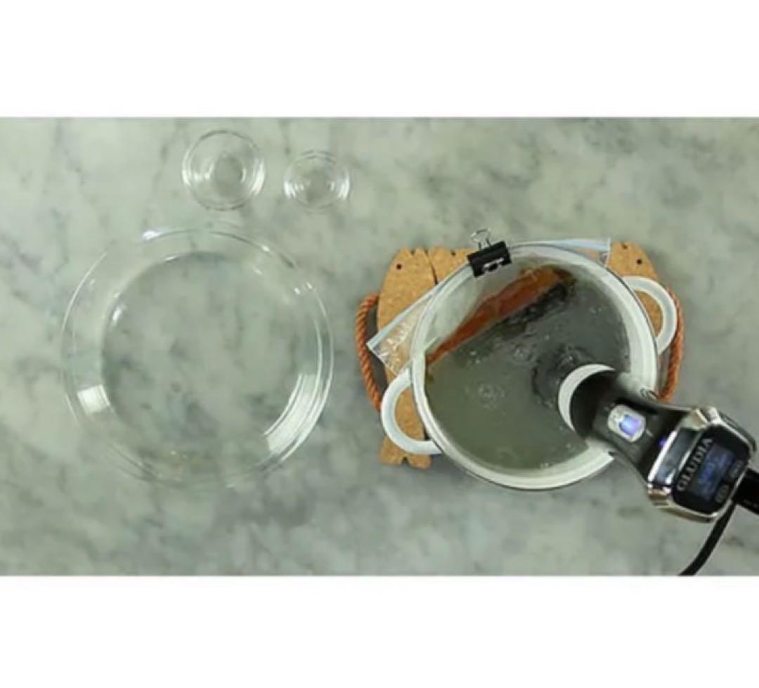 ★GLUDIA GLU-INM01 低温調理器 家庭用 高性能