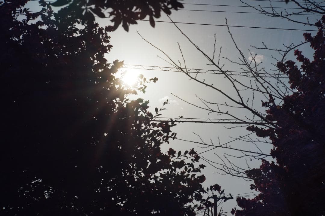 【神レンズ】動作◎ Jupiter-9 85mm F2 ロシアンレンズ 658