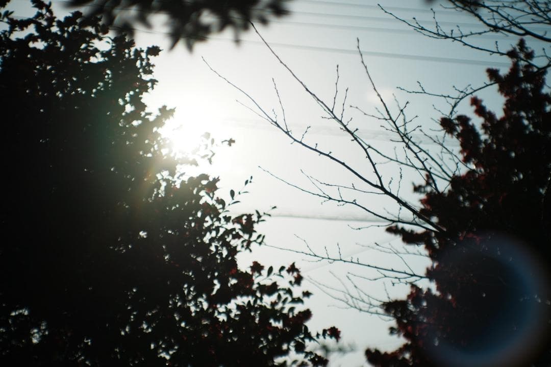 【神レンズ】動作◎ Jupiter-9 85mm F2 ロシアンレンズ 658