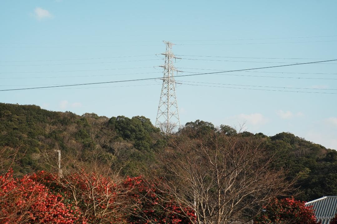 【神レンズ】動作◎ Jupiter-9 85mm F2 ロシアンレンズ 658