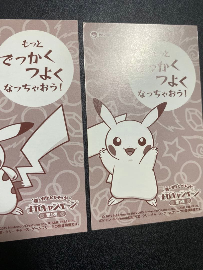 ポンチョを着たピカチュウ 名刺カード メガリザードンXY ポケモンセンター