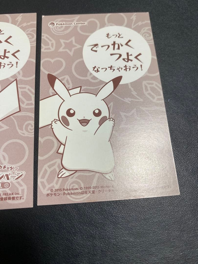 ポンチョを着たピカチュウ 名刺カード メガリザードンXY ポケモンセンター