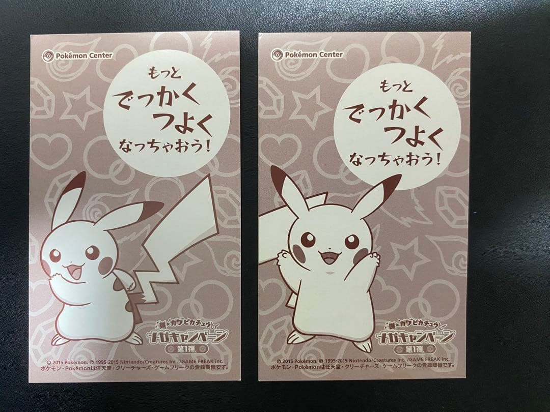 ポンチョを着たピカチュウ 名刺カード メガリザードンXY ポケモンセンター
