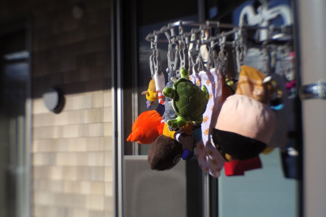 PENTAX 07 MOUNT SHIELD LENS Qマウント