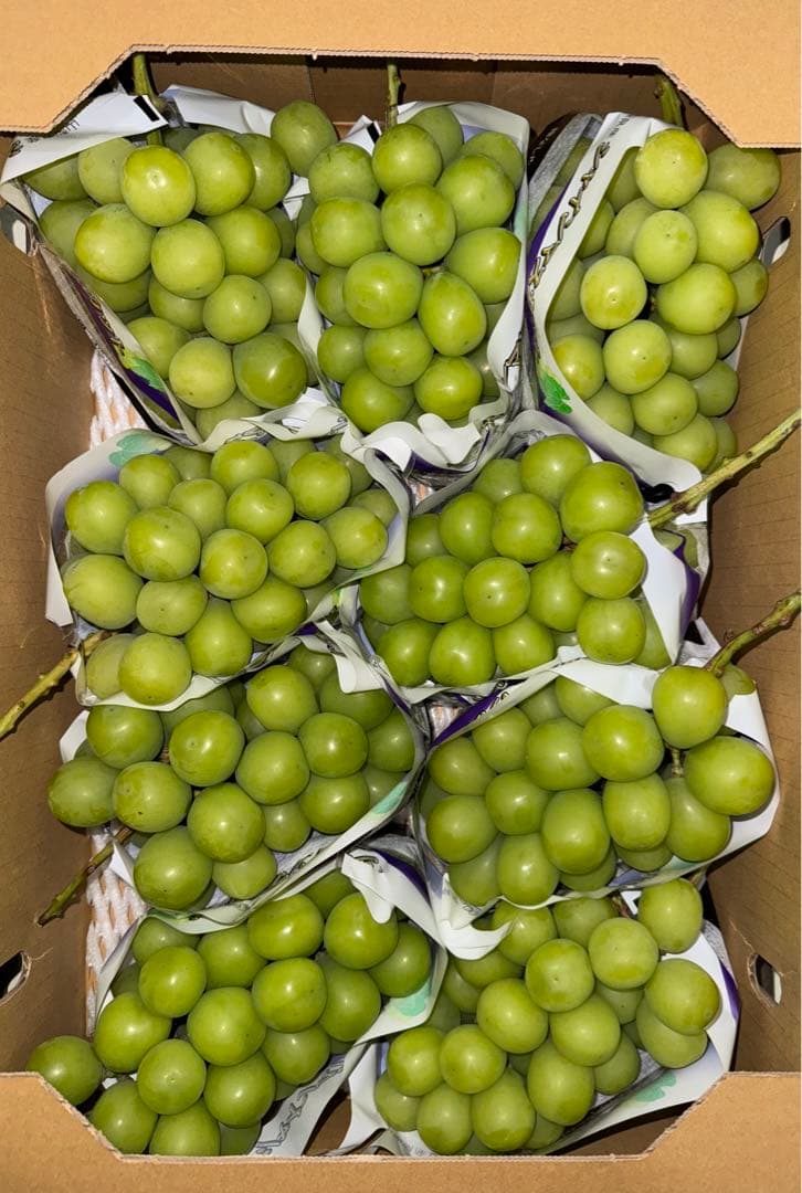 山梨県産ぶどう⭐️シャインマスカット⭐️9房入り箱込み約5.6キロ