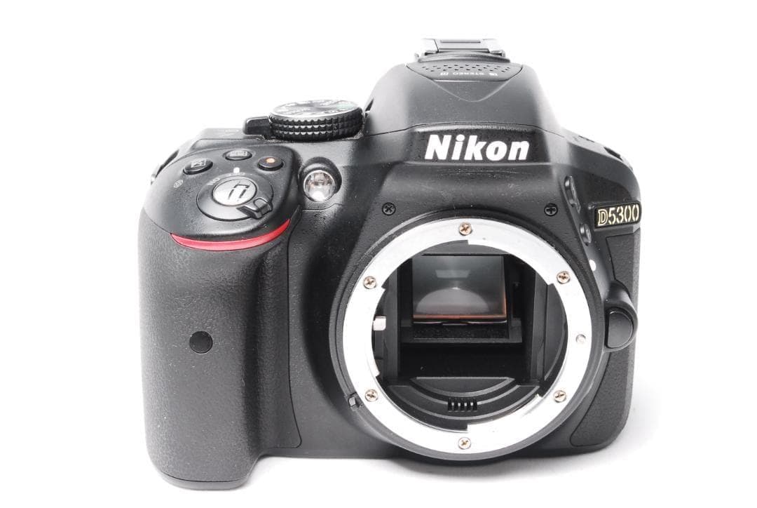 【新品級】Nikon D5300 Wレンズ Wi-Fi転送可能 初心者おススメ